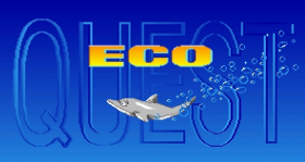 Eco Quest