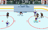 Brett Hull Hockey 95 2