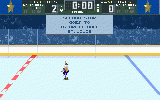 Brett Hull Hockey 95 3